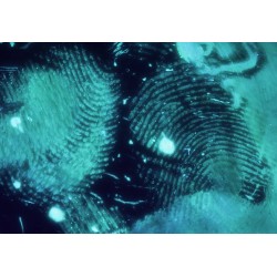 Empreintes Digitales Validé hologramme 20 mm 3/10,2 cm autocollants étiquettes de sécurité rond en argent avec numéros de série 